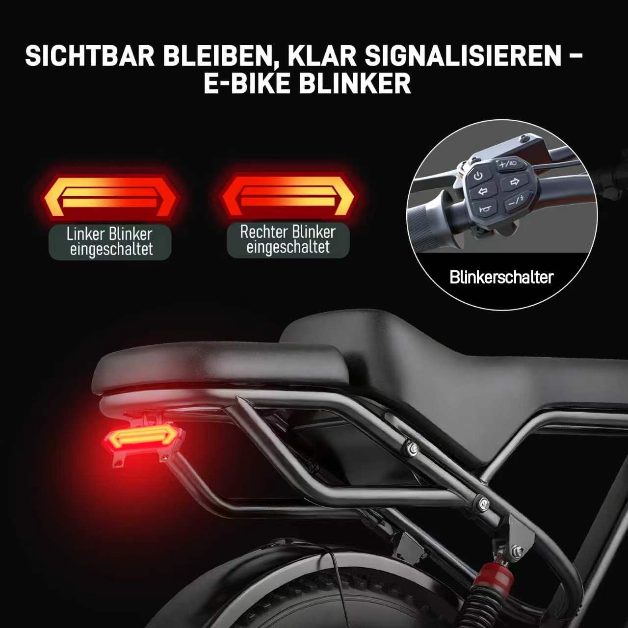 Lunos BK20 Elektrofahrrad für Erwachsene, 20 Zoll Fettreifen All-Terrain Offroad E-Bike, 48V 20AH abnehmbare Batterie, 50-80KM Reichweite, Vollgefedert, 7-Gang Schaltung, LED-Vorderlicht