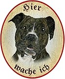 Generisch