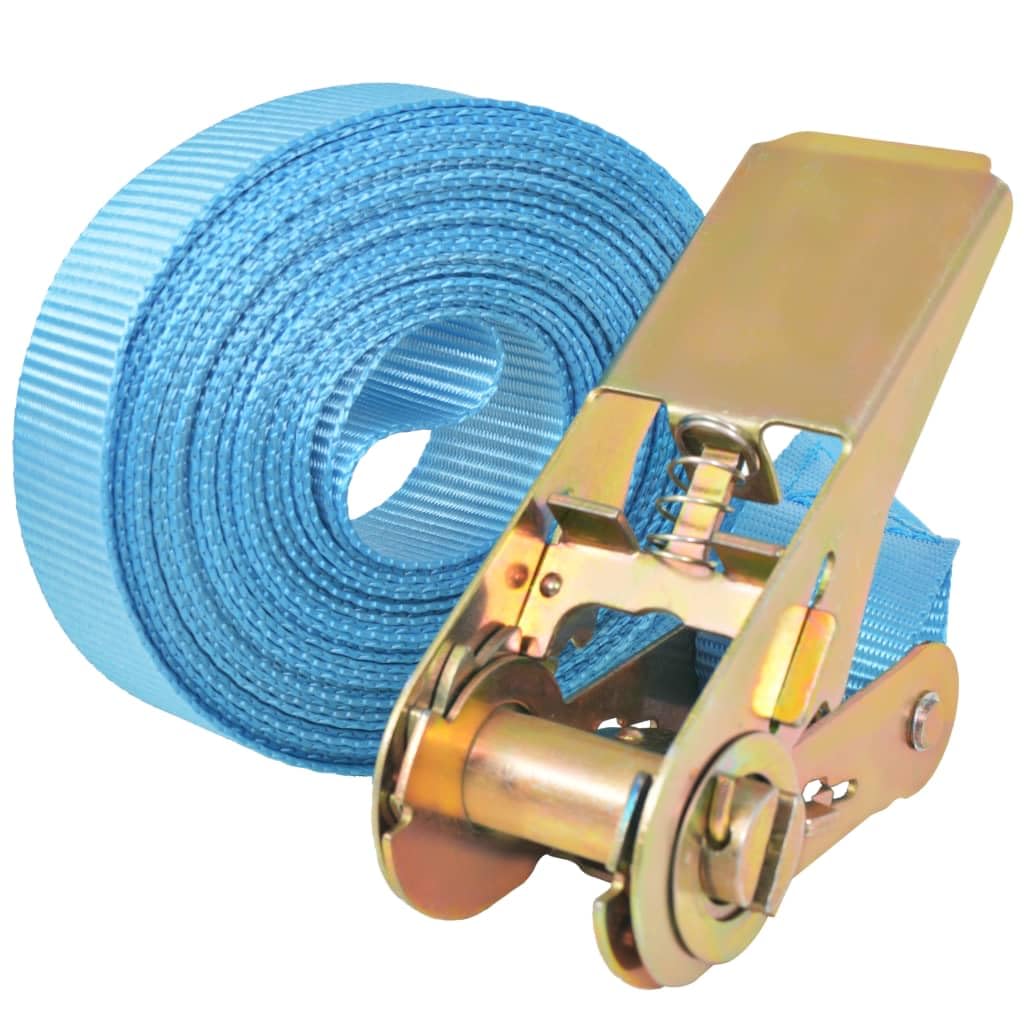 Cinghie di fissaggio a cricchetto, 10 pezzi, 0,8 tonnellate, 4 m x 25 mm, blu