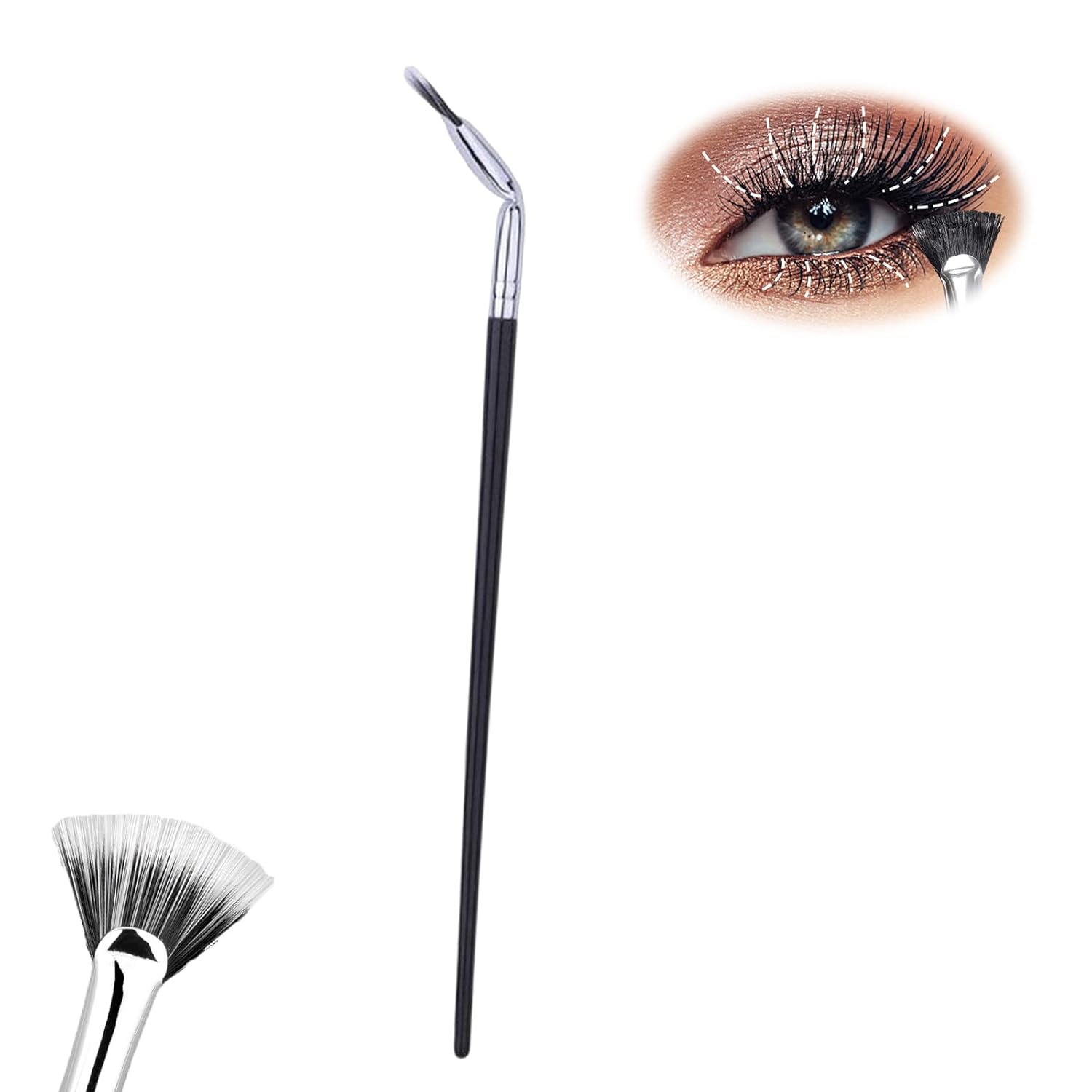 Angled Fan Shaped Eyelash Brush, Fan Shaped Eyelash Brush, Fan-Shaped Bent Eyelash Brush, Fan Shaped Makeup Brush for Eyelash (1 PCS) : Beauty & Personal Care