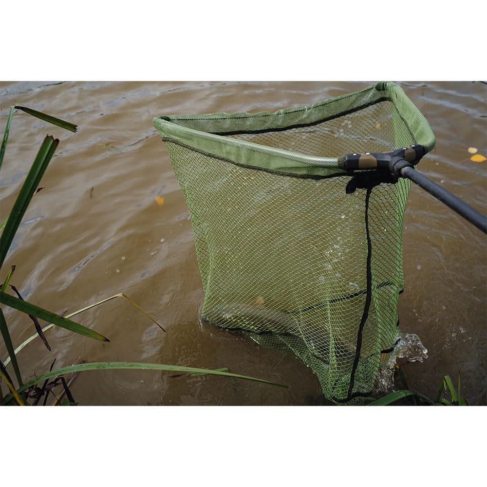 View 2