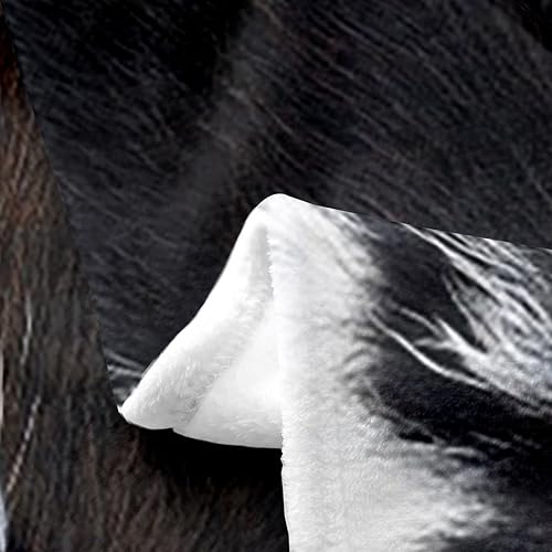 Miniatura 3 de Manta de forro polar con estampado de vaca azteca negra y blanca, manta de franela de piel de animal de granja occidental para niños y niñas, manta