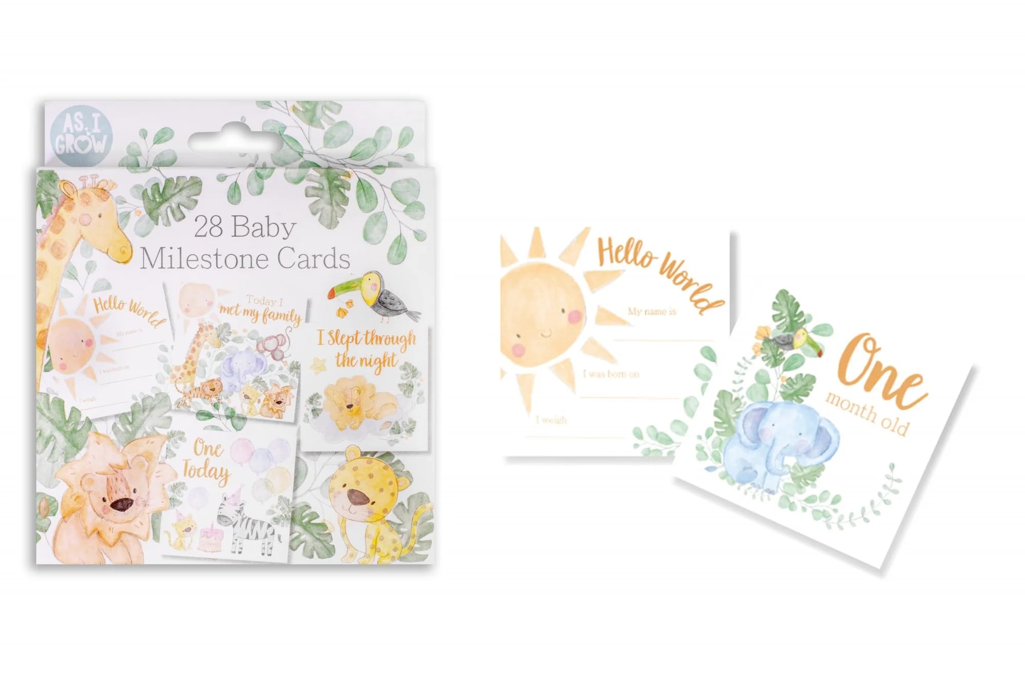 Hugs and Kisses 28 Baby Milestone Cards