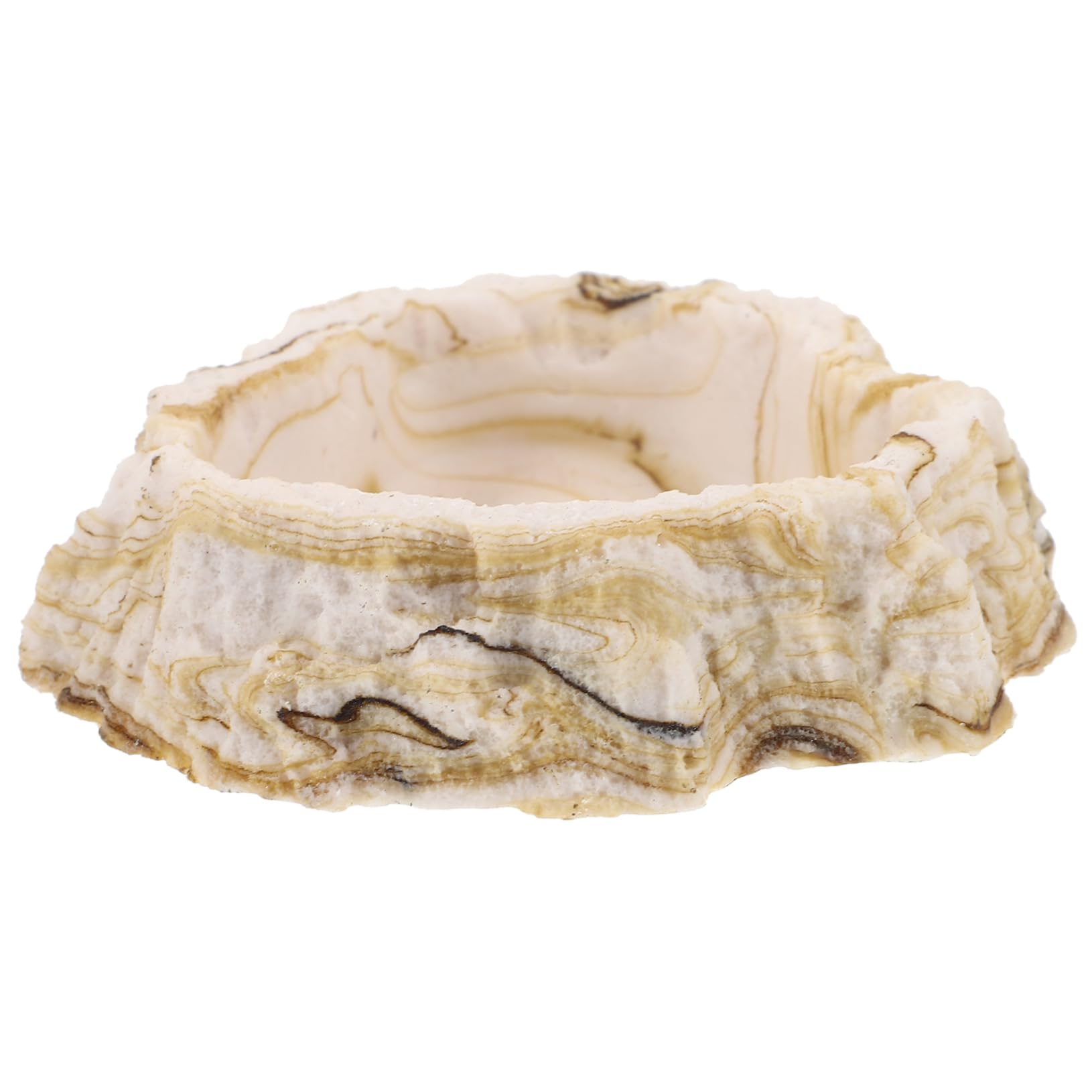 Toddmomy 5piezas Tazón De Alimentación y Agua para Reptiles Plato De Resina para Terrario Diseño Estable y Duradero para Comida y Bebida De Mascotas Reptiles Accesorio De Terrario para