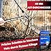 siwitec Teleskop Bypass Getriebeastschere SG-21, Bypass Baumschere für frisches Holz bis zu Ø 40 mm, Astschere mit scharfer Klinge aus Kohlenstoffstahl, Länge: 66-92 cm, Baumschere, Gartenschere