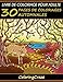 Livre de coloriage pour adulte: 30 pages de coloriages automnales