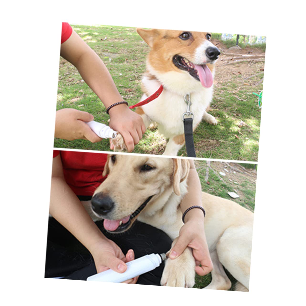 Angoily 3pezzi Macinacuticole Elettrico per Animali Domestici Strumento Silenzioso per La delle Unghie di Cani e Gatti Portatile e Facile da Usare Materiale Durevole
