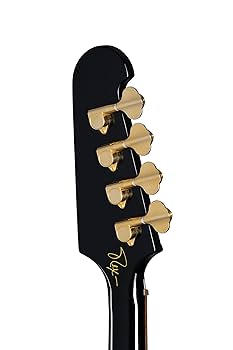 Amazon.com: Epiphone Inspired by Gibson Rex Brown