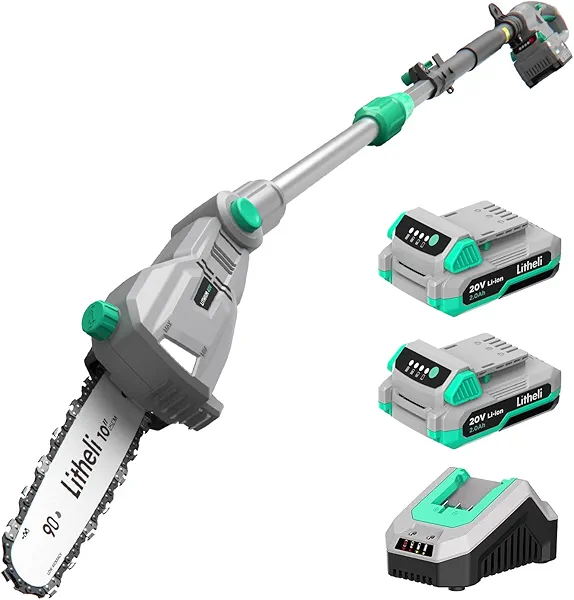 Litheli Cordless Pole Saw, Battery Powered Pole Saw for Tree Trimming with 8-Inch Cutting Bar & Chain, Lightweight Electric Pole Chainsaw for Branch Cutting With 2 x 2.0Ah Battery & Charger