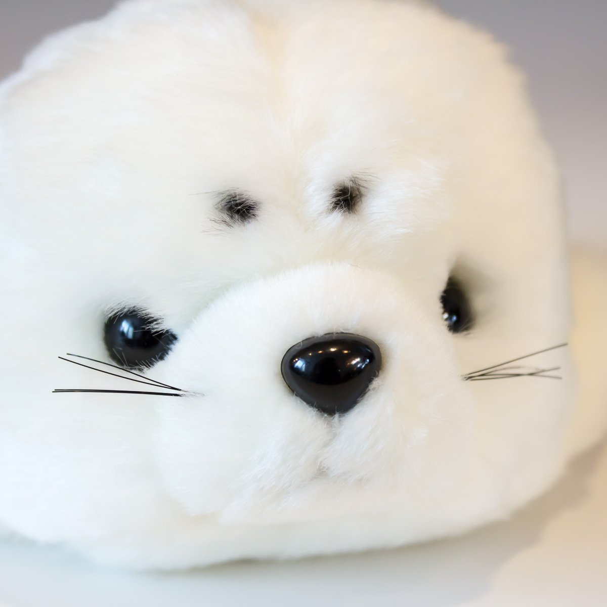 Amazon.co.jp: たけのこ アザラシ ミニ ぬいぐるみ 60950 : おもちゃ