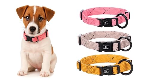 Flamingo Collar Cachorro Dolly Rosa Reflectante S 30-45CM 15MM