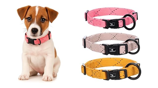 Flamingo Collar Cachorro Dolly Rosa Reflectante S 30-45CM 15MM
