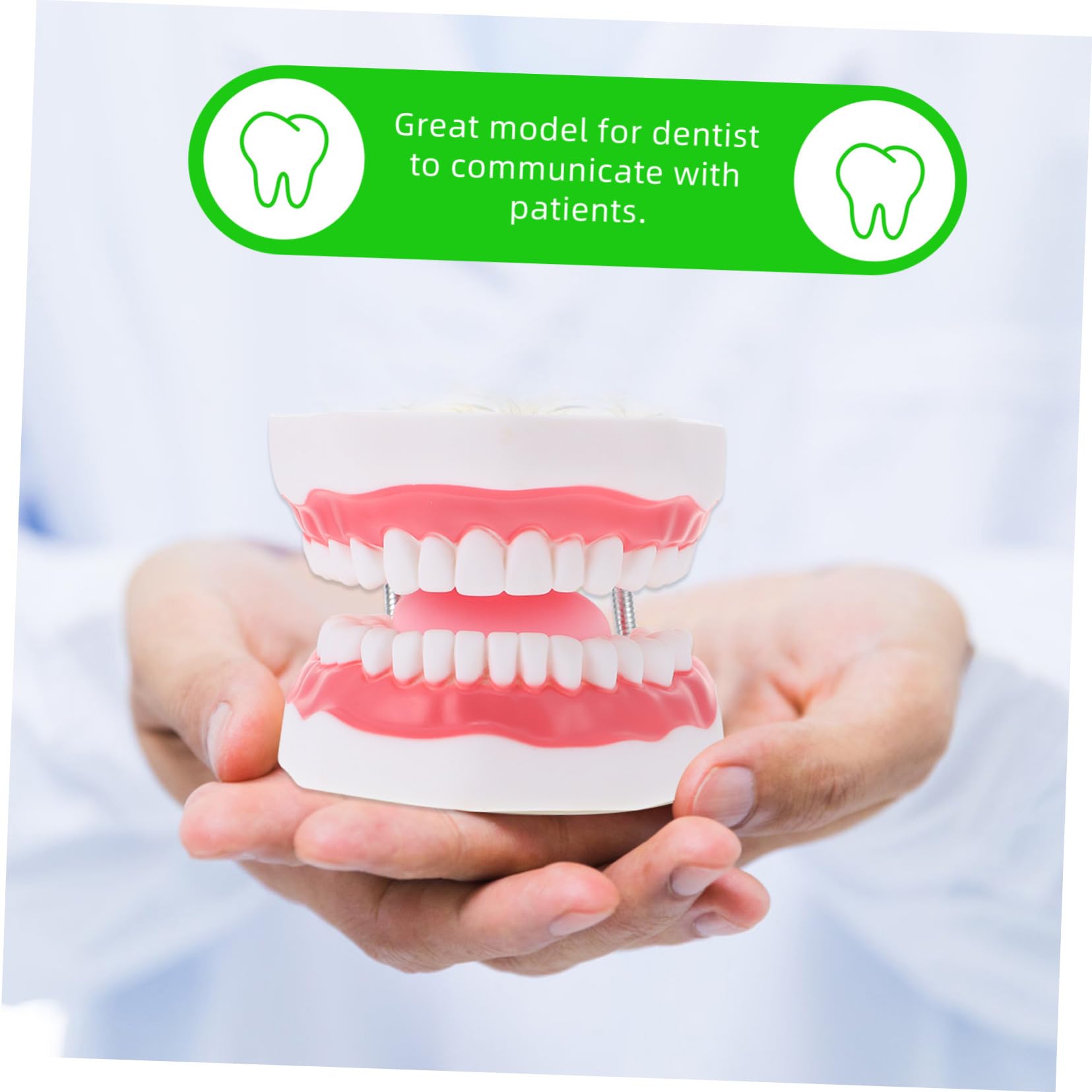Modello dei Denti 6x Bianco in Pvc con Spazzolino Didattico | Gioco Interattivo per Ragazzo Ragazza, Supporto alla Comunicazione Genitore-figlio, 1 Pezzo
