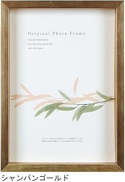 Amazon A P J アートボックスフレーム 高さ 35mm サイズ 210 297mm シャンパンゴールド ポスターフレーム パネル ホーム キッチン Amazon A P J アートボックスフレーム 高さ 35mm サイズ 210 297mm シャンパンゴールド ポスターフレーム パネル ホーム キッチン