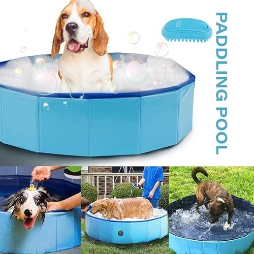 Banheira Piscina Para Cães Em Pvc Antideslizante