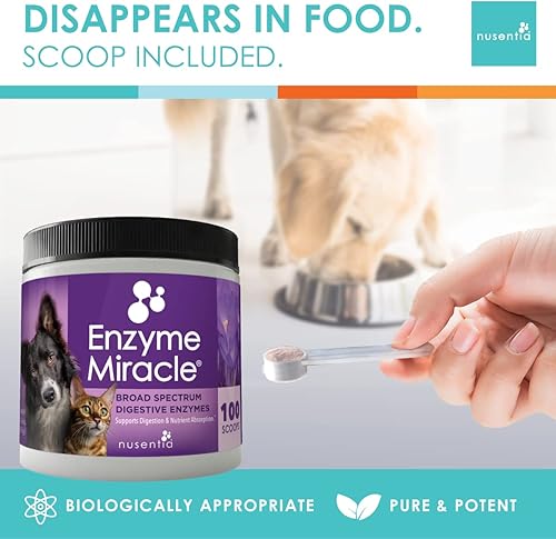 Miniatura 4 de Enzimas para gatos y perros Enzyme Miracle 100 porciones para el estrés digestivo las preocupaciones pancreáticas y el control saludable del peso