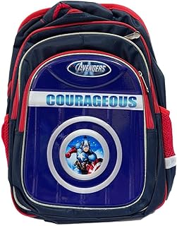 School bag 3 zippers 16 no:8099