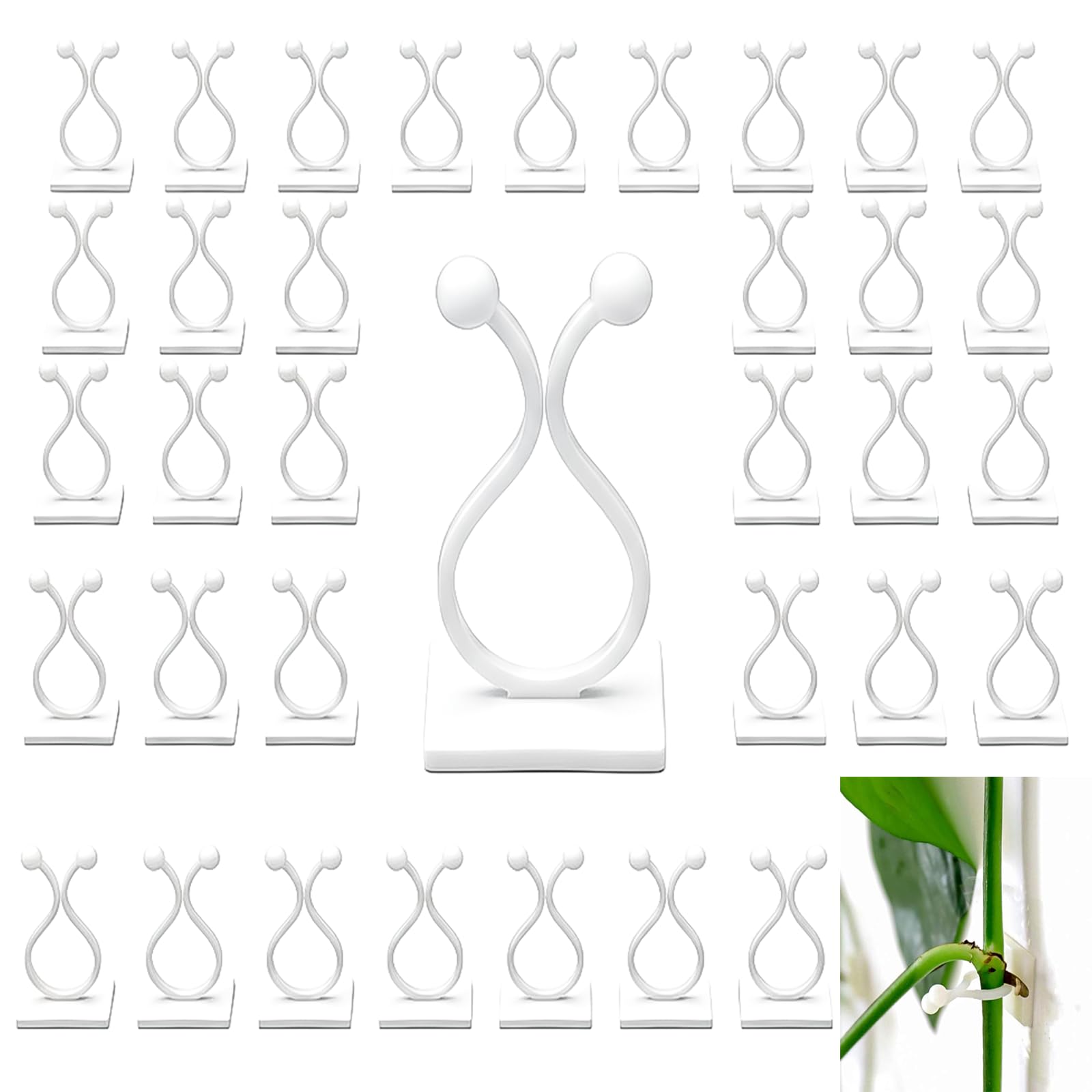 DAQUN 50 Pcs Plant Climbing Wall Clips, Self-Adhesive Clear Hooks for Organizing Vines on Walls, Tiles, or Glass