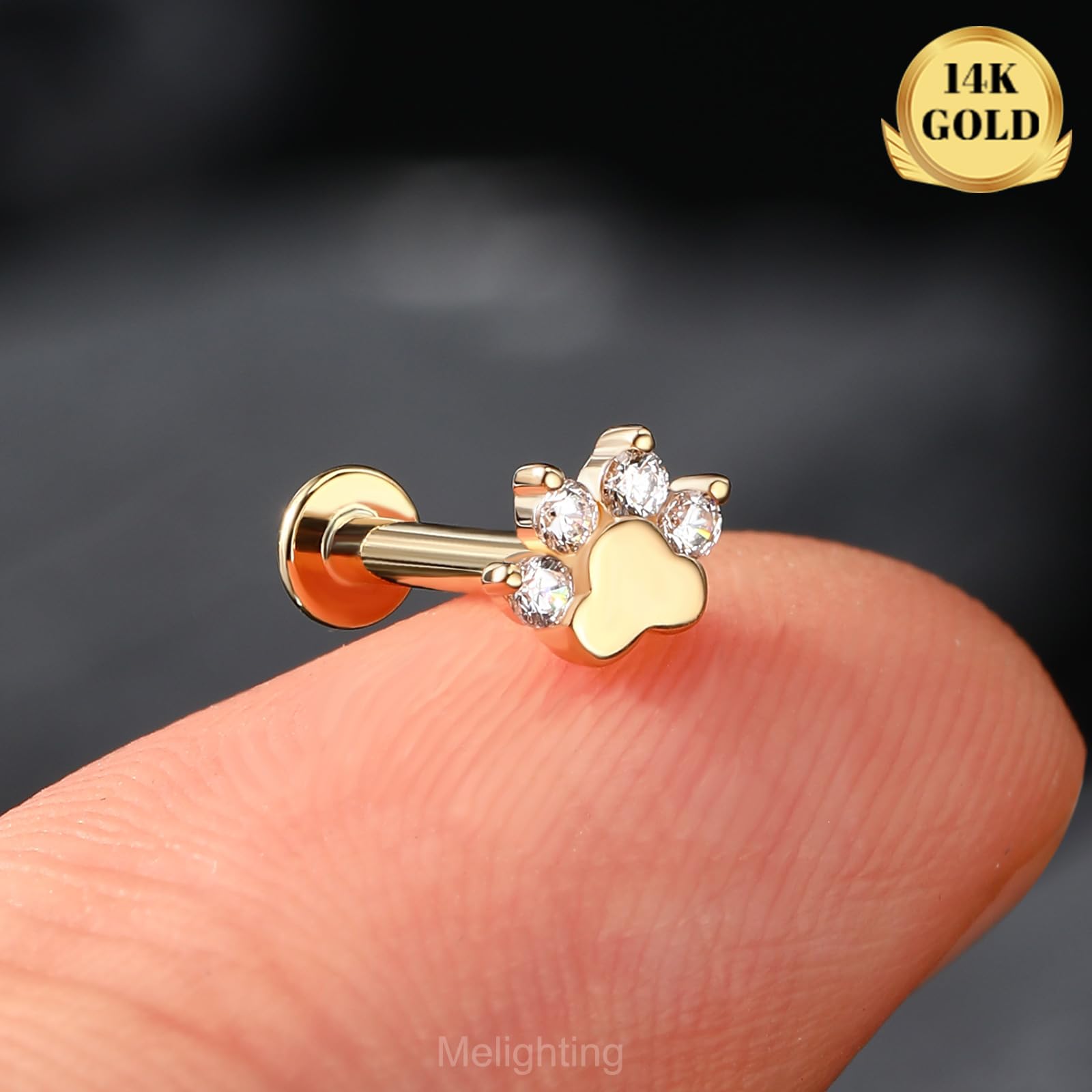 Melighting 14 K Gelbgold, Hundepfote, Knorpelohrring, Innengewinde, Helix, CZ, flach, hinten, 8 mm, Tragus, Daith, 16 g, Labret Stud