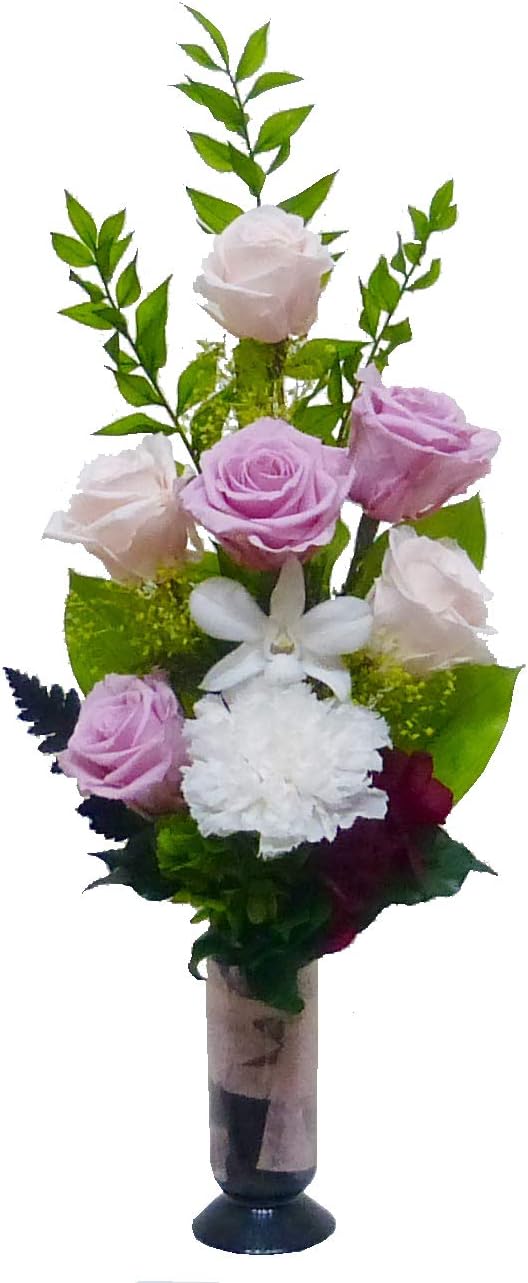 鳳華フィカス 根上り 根を楽しむ おしゃれベンガレンシス 鳳華