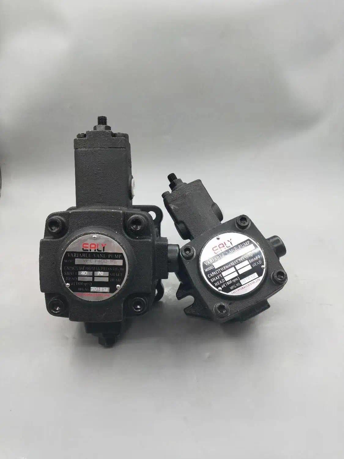 Compatible for EALY Hydraulic Pump VPE-F40D-10 Variable Vane Pump (VPE-F40D-10)