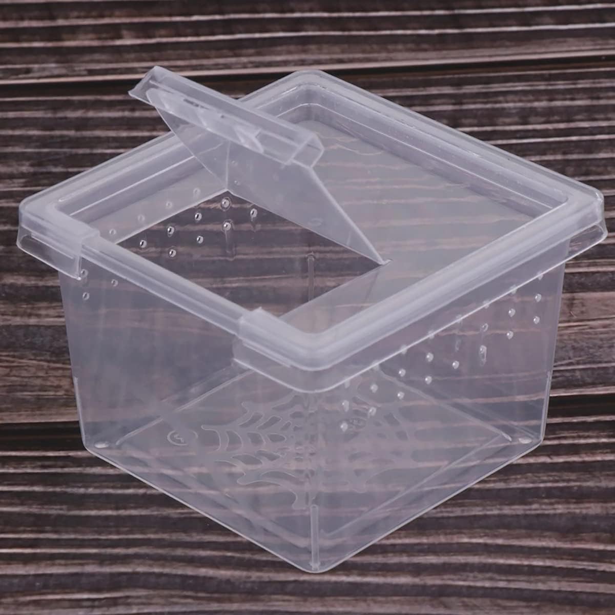 60 Pcs 2.56x2.56x1.73 inch Acrylic Small Reptile Breeding Box, Spider Insect Reptile Small Transparent Hatching Container