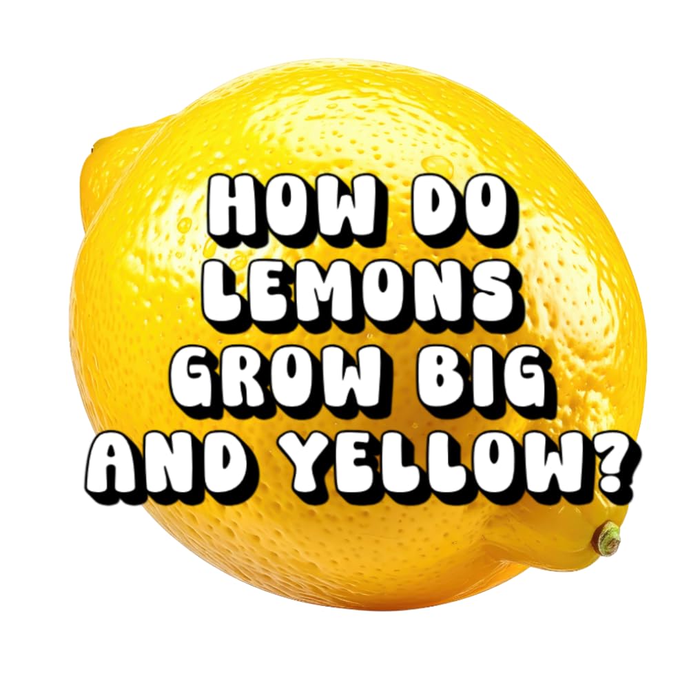 How Do Lemons Grow Big and Yellow?