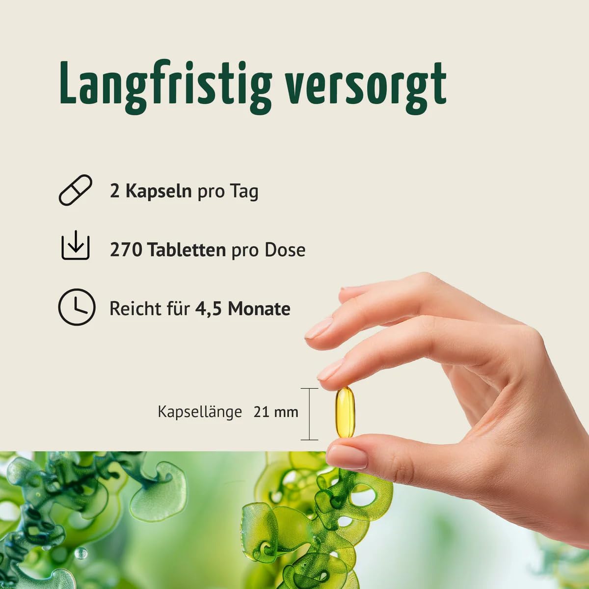 Vegane Omega-3 Kapseln | 270 Stück | Vorteilspack für 4,5 Monate | auf Basis von Algenöl mit 180 mg EPA und 400 mg DHA pro Tagesdosis | hochdosiert & bioverfügbar | Achterhof