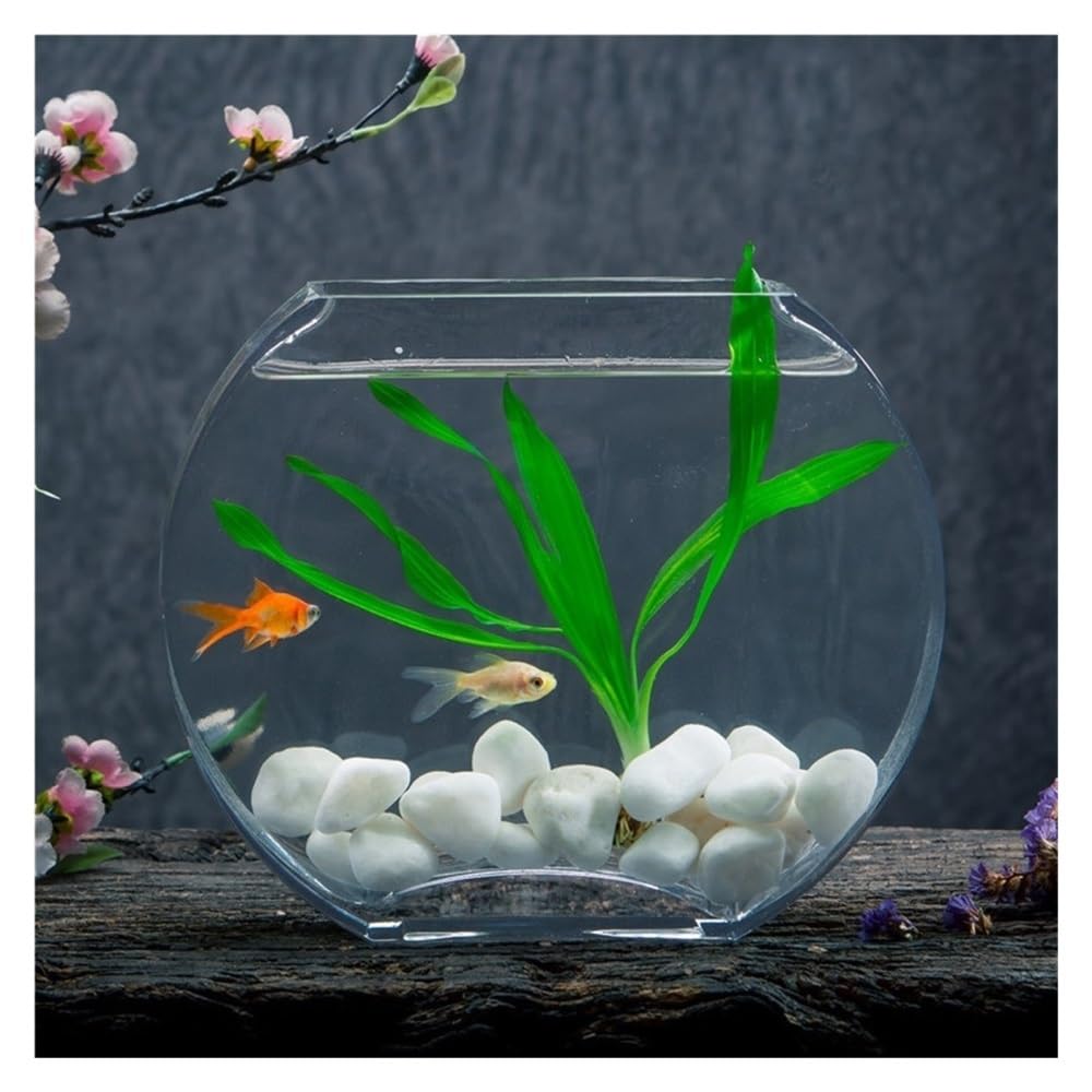Acquario Decorazione for scrivania da soggiorno, acquario in vetro piatto e rotondo a forma di pesca