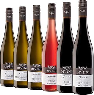 DIVINO Juventa Frankenwein Probierpaket - Silvaner, Grauer Burgunder, Scheurebe, Rotling, Merlot, Cuvée - Qualitätsweine direkt aus den Weinbergen Frankens (6 x 0,75l)