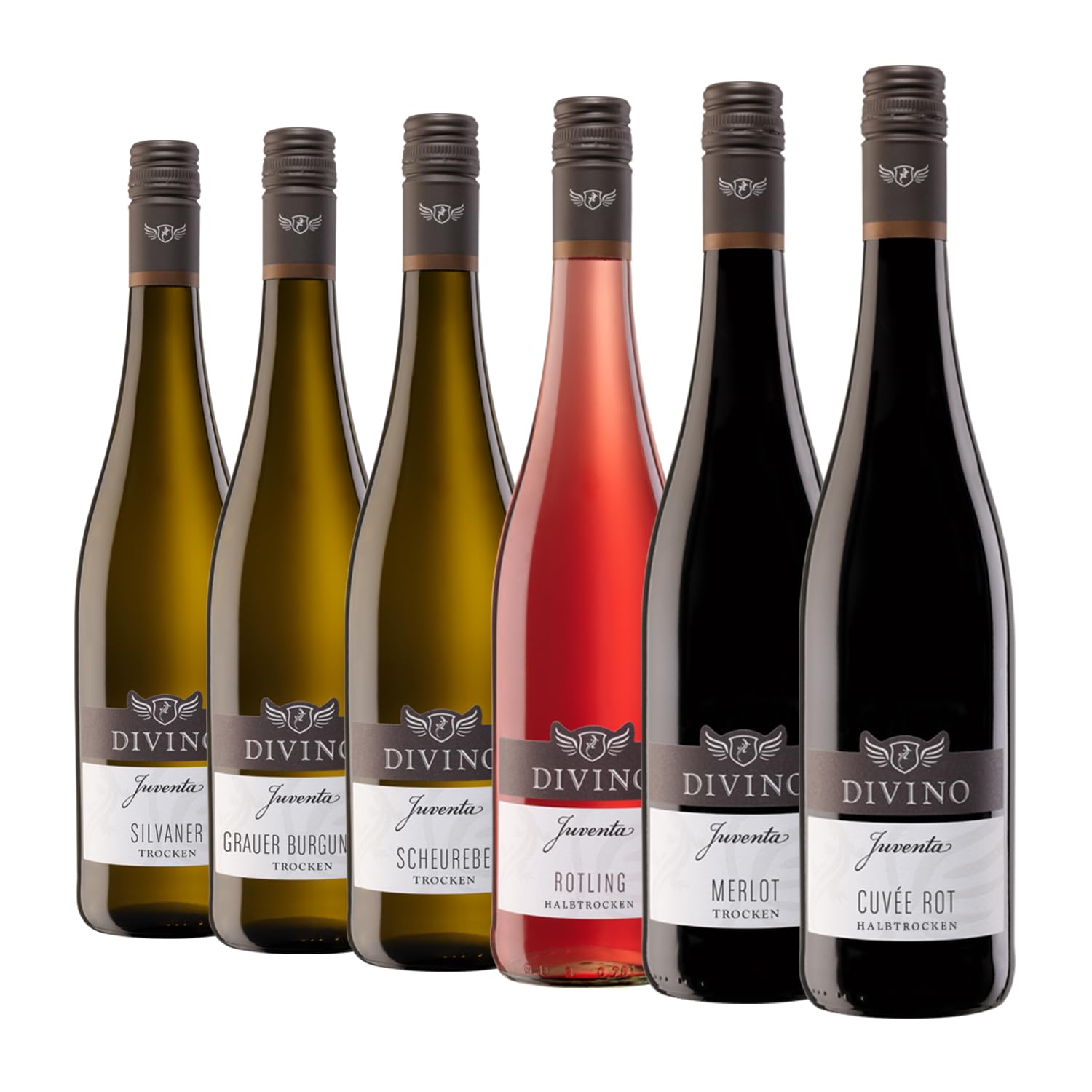 DIVINO Juventa Frankenwein Probierpaket - Silvaner, Grauer Burgunder, Scheurebe, Rotling, Merlot, Cuvée - Qualitätsweine direkt aus den Weinbergen Frankens (6 x 0,75l)