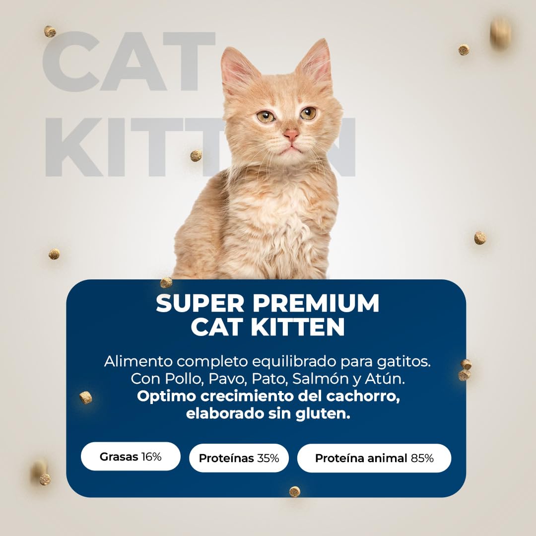 Pienso para Gatos Kitten Sin Gluten - Comida Natural para Gatitos Bebés - con Pollo, Pavo y Salmón - 15kg - Lobo Azul Kitten