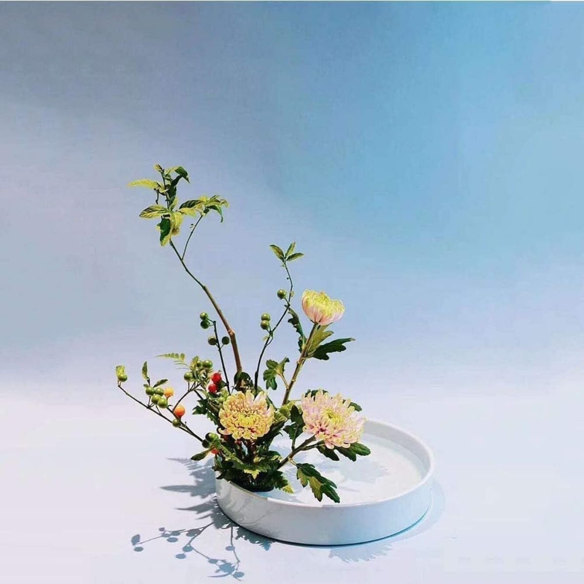 Amazon.co.jp: Blyzo 華道用 陶器花器 エレガントな生け花フラワー