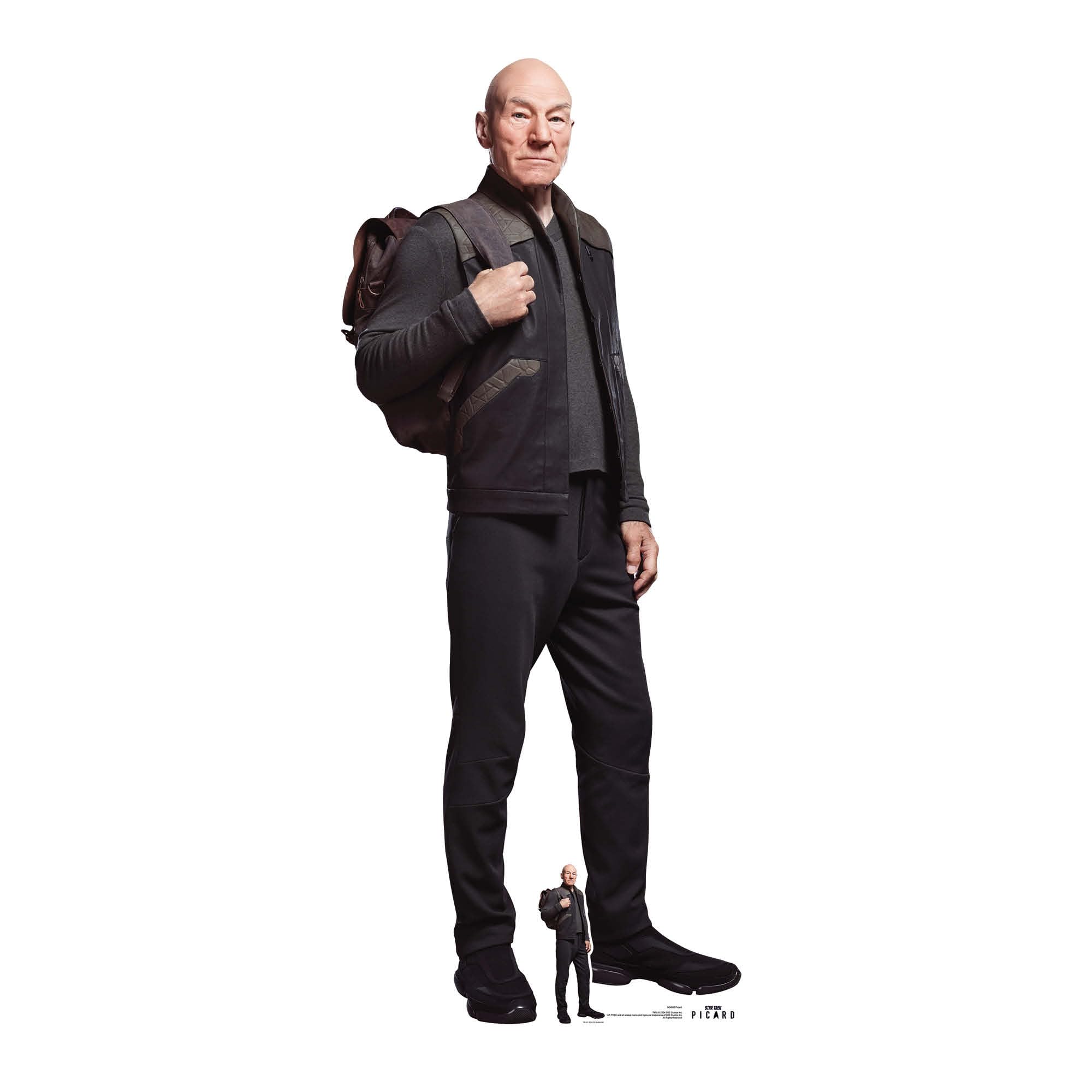 Star Cutouts SC4832 Picard Cardboard Cut Out Height 178cm - Ideal for Star Trek Theme, Parties, Birthdays, Collectors & Fans, Room Decorations & Events