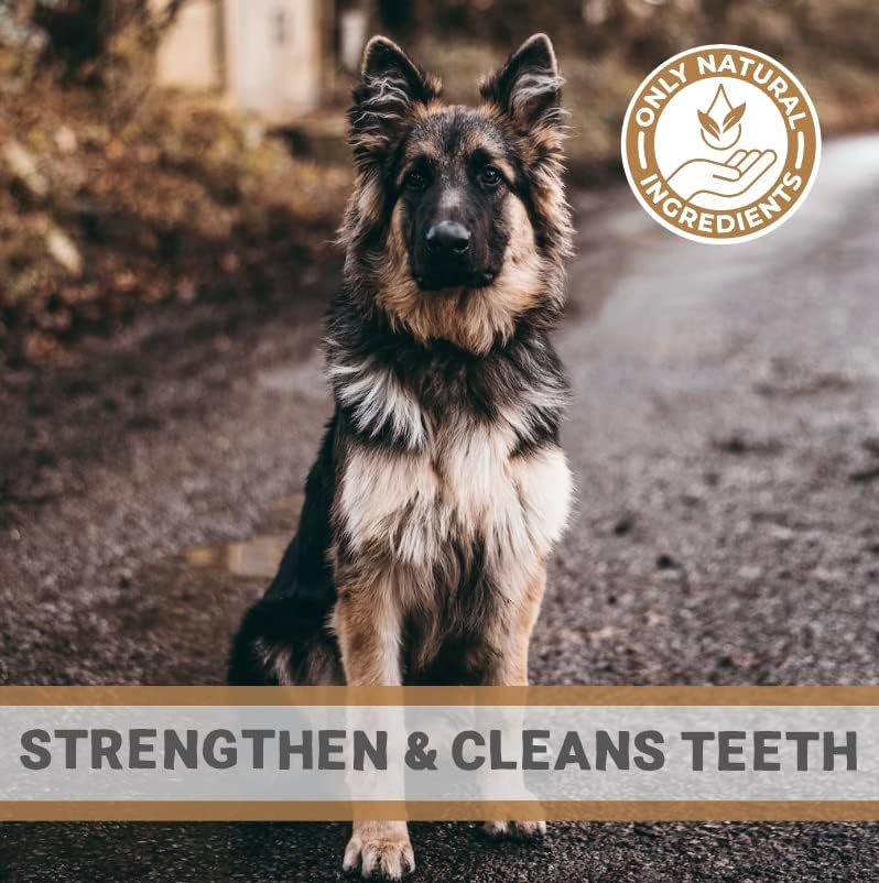 Pets Purest 100% Natural Antler for Dog Puppy or Senior, 1 x Large Deer Antler Stag Horn Bone with Minerals & Calcium - Image 5