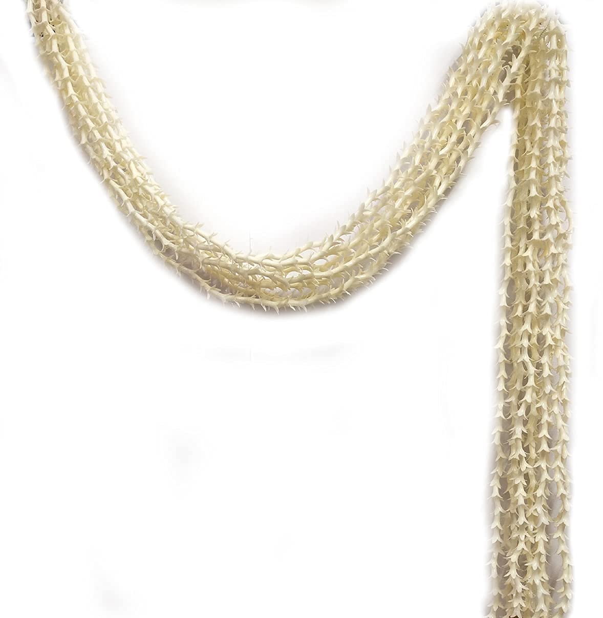 3A FEATURETAIL 5Ft Artificial Rajnigandha/Tuberoses Garland String, Rajnigandha Ladi For Decoration (5feet Length 10 Ladi, Rajnigandha Ladi Plain)-image-37