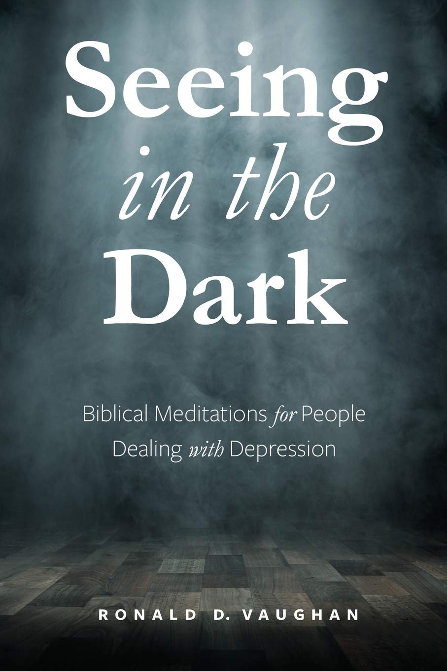 Seeing in the Dark: Biblical Meditations for People Dealing with Depression