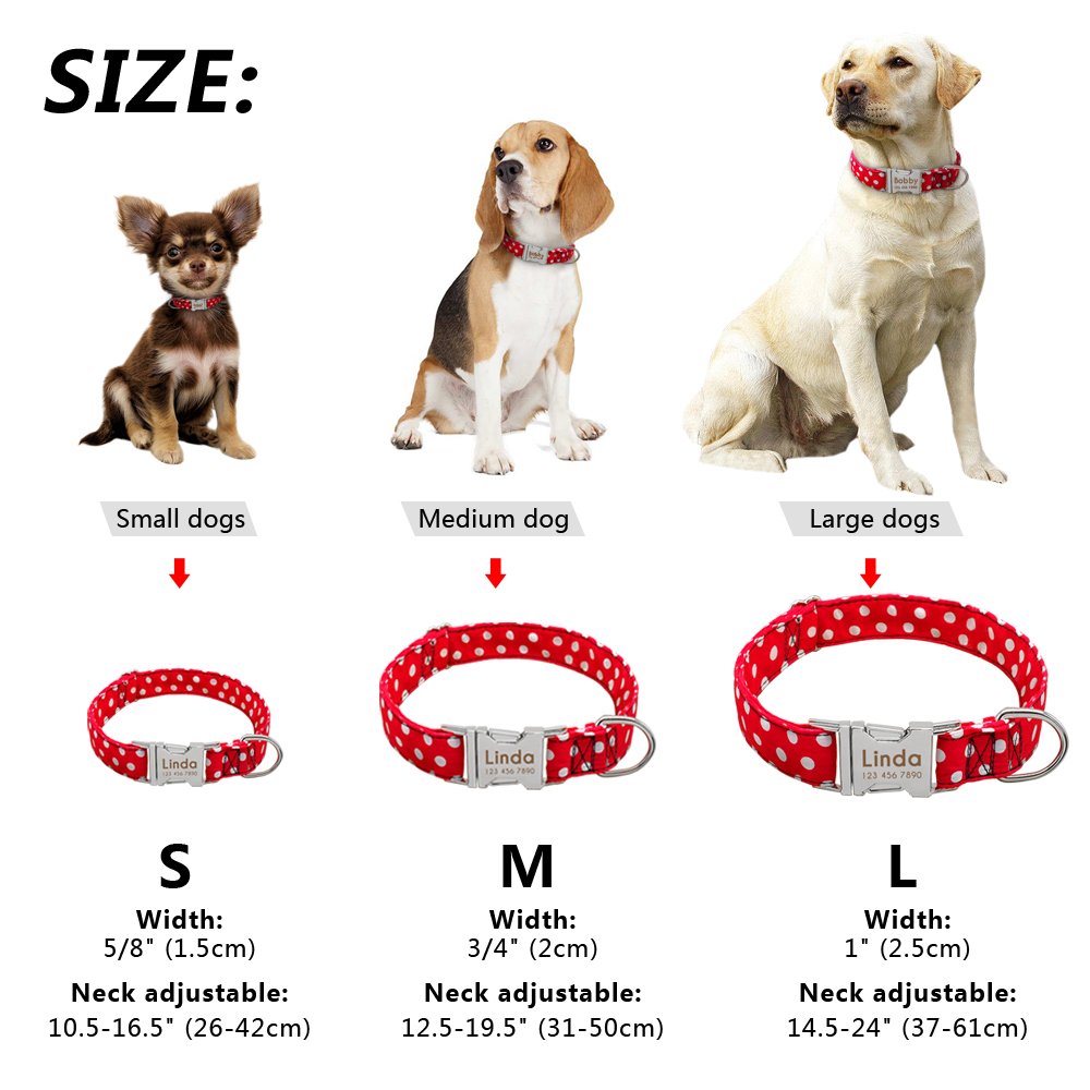 Didog Hundehalsband Aus Nylon | Mit Edelstahl-Schnellverschluss & Personalisiertem Namensschild | Größe M (31-50 Cm)