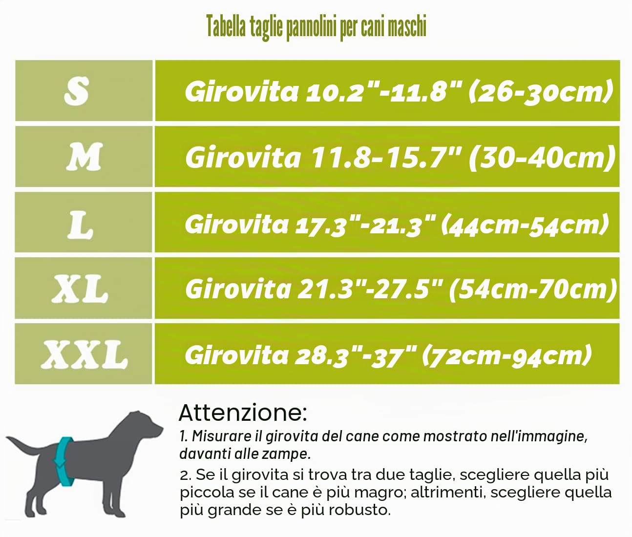 [3 Pezzi] Avont Pannolini Cani Maschi, Fascia Igienica per Cane Maschi Altamente Assorbenti, Mutandina per Cane, Impermeabile e Riutilizzabili, Lavabili in Lavatrice -XXL