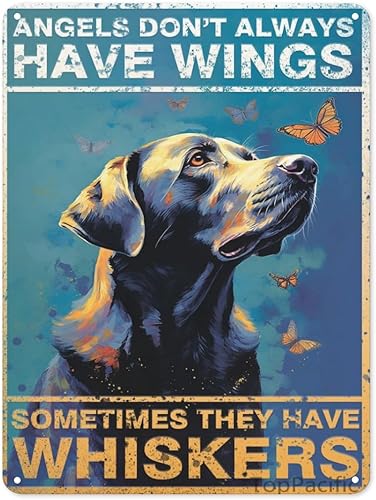 Vintage Wall Poster Metal Plaque,Angels Don't Always Have Wings Sometimes They Have Whiskers,Labrador Retriever Metal Wall Poster, Angel