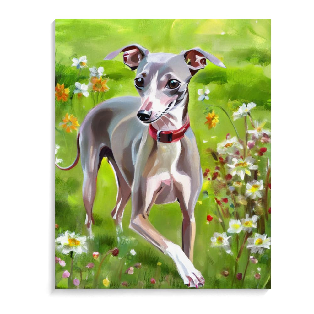 Paint by Numbers Italian Greyhound Dog DIY Acrylic Painting Kit with Brushes Pigment Oil Painting Artwork Adults Beginners Wall Decor 12x16inch(30x40cm) Frameless
