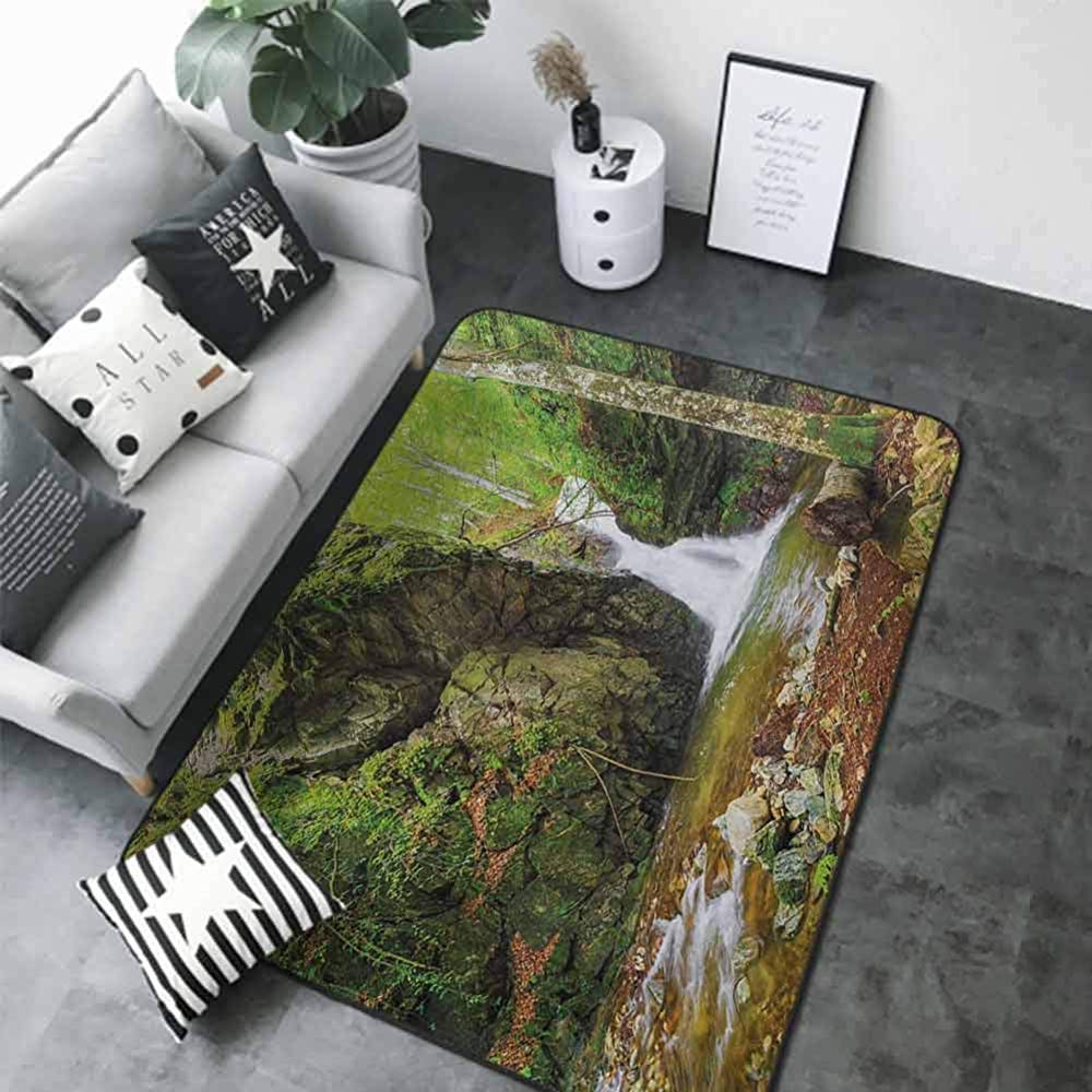 Floor mats for Kids Waterfall,Waterfall in Spring Season Like Winter in Bulgaria with Trees and Bushes