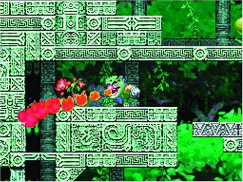Wario: Master of Disguise - Nintendo DS (Renewed)