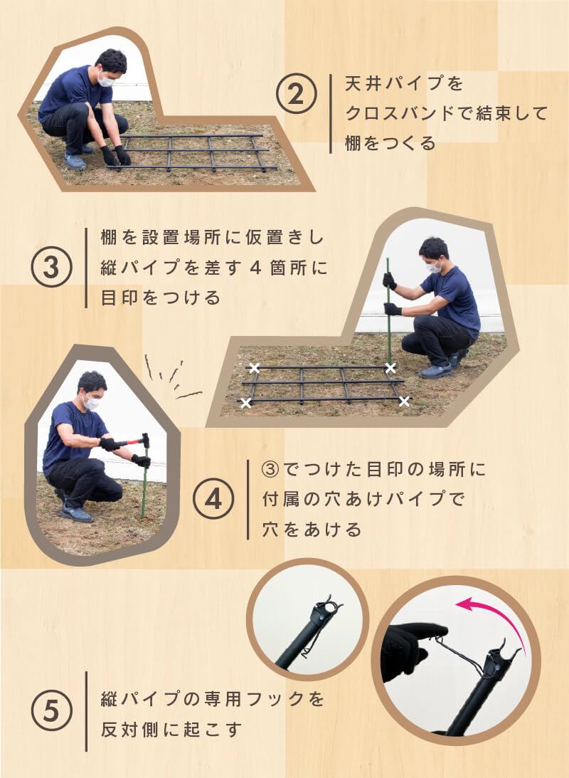 Amazon | DAIM ぶどう棚 パーゴラ 果物棚セット 藤棚 キウイ棚 幅180