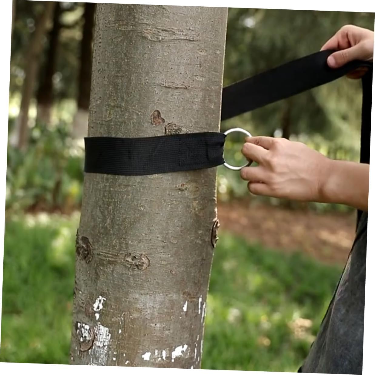 6pcs Tree Swing Hanging Straps Kit Adjustable Nylon Hammock Tree Straps with Heavy-Duty S Hooks and Reinforced Ropes for Outdoor Patio Swing and Hammock Accessories