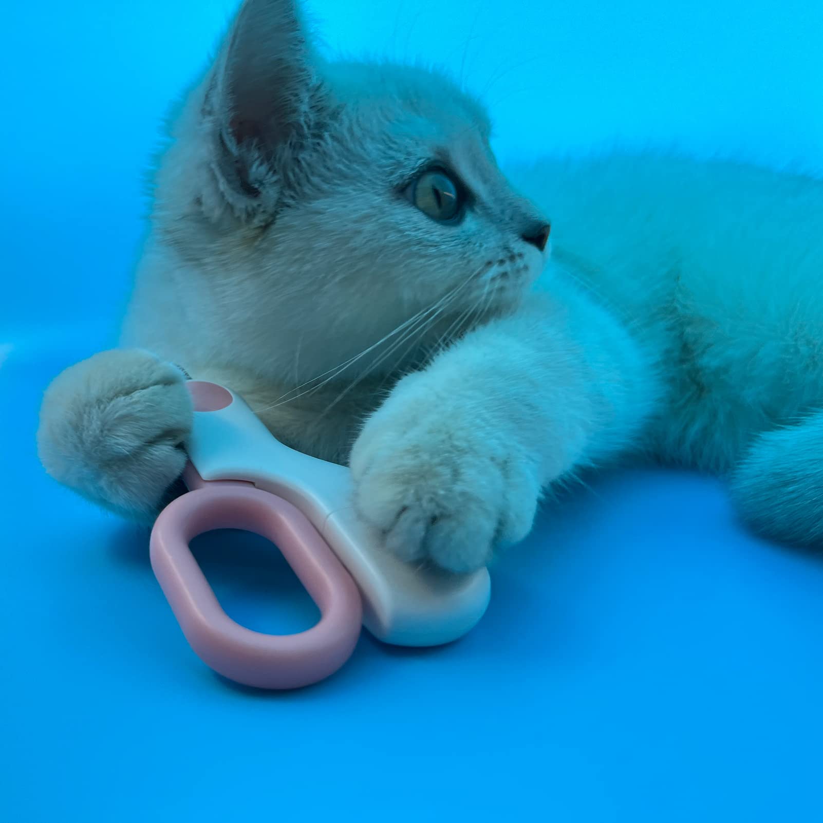 Nagelknipser für kleine Tiere mit LED-Lichtern, um übermäßiges Schneiden und rasiermesserscharfe Klingen zu vermeiden – professioneller Krallentrimmer für kleine Hunde, Frettchen, Hamster (blau)