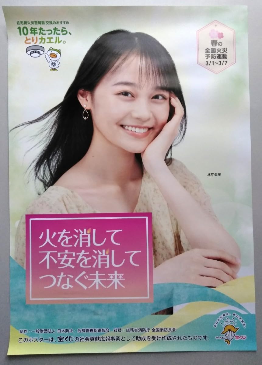 少コミセット 2 ポスター Amazon.co.jp: 肉チョモ アルバム特典 B2 会場限定 ポスター