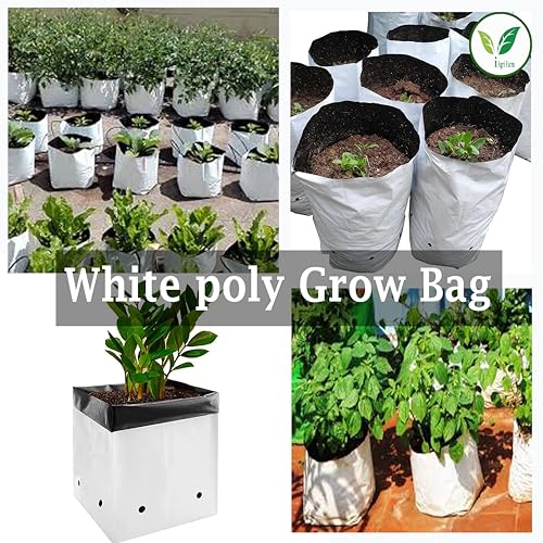 Image of IAgriFarm UV Treated Poly Grow Bags, 28 * 28 * 50cms, Pack of 50, White & Black, for Home Gardening
