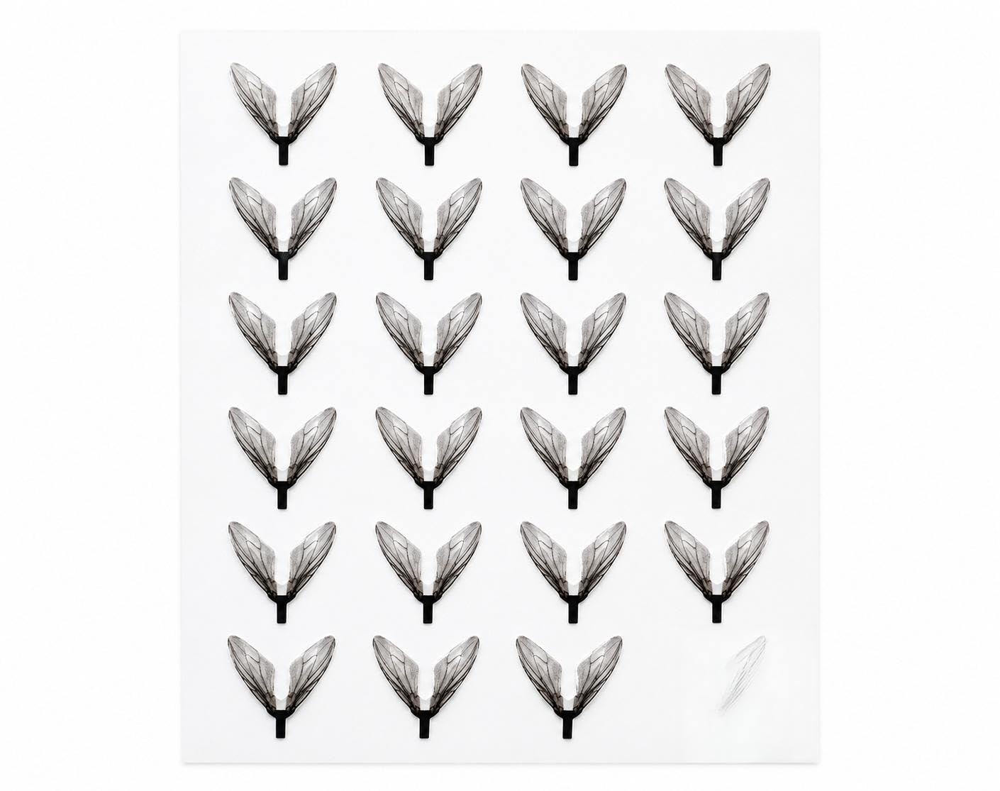 27 Bottle Fly Wing Stickers for Fly Tying, 10 x 10mm Self-Adhesive Transparent Fly Wings, Realistic Bottle Fly Wings for Trout, Grayling and Artificial Fly Making