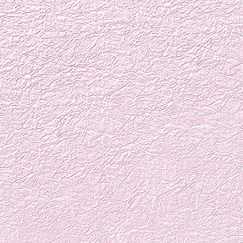 yP[X̔zHEIKO a ̎q G{X NO.24 tW 002108007 1P[X(5×40 v200)